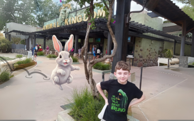 SHOULD YOU PARK HOP AT DISNEY AS THUMPER WOULD?